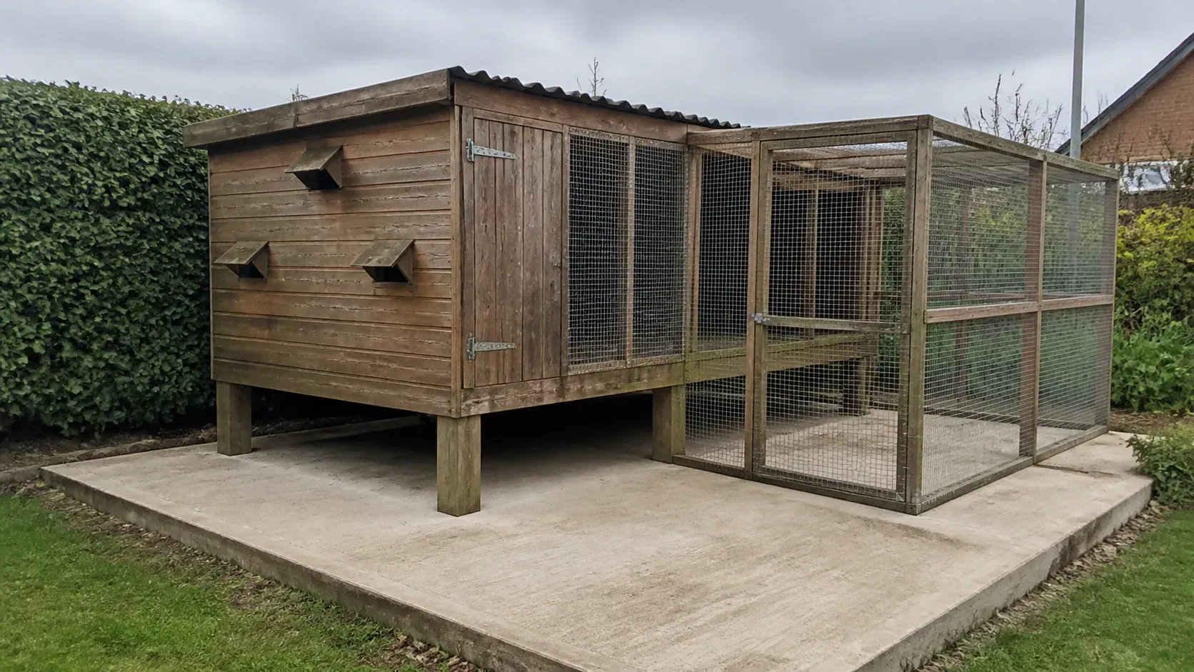 Timber racing pigeon loft on a clean raised foundation